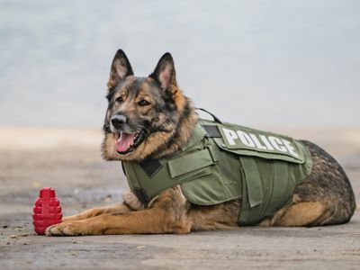 Image showing  Large Grenade Dog Chew Toy and Treat Dispenser, Red