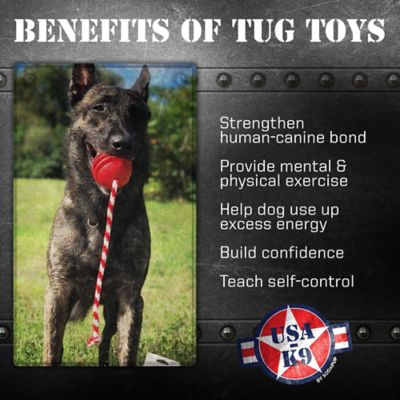 Image showing  Stars and Stripes Tug and Retrieving Rope Dog Toy