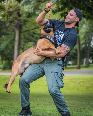 Image showing  Magnum Skull Tug and Retrieving Rope Dog Toy