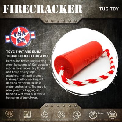 Image showing  Firecracker Floating Retrieving Dog Toy