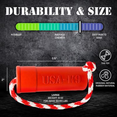 Image showing  Firecracker Floating Retrieving Dog Toy