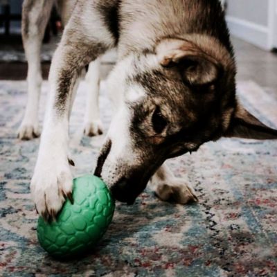 Image showing  Dinosaur Egg Treat Dispenser and Dog Chew Toy