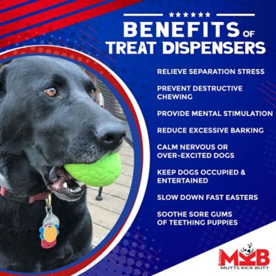 Image showing 5 th SodaPup Dinosaur Egg Treat Dispenser and Dog Chew Toy