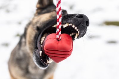 Image showing  Heart Tug and Retrieving Rope Dog Toy