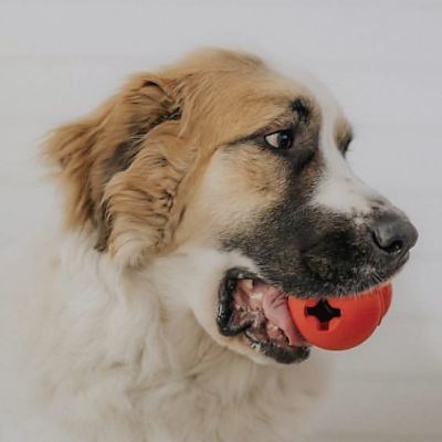 Image showing  Snowman Treat Dispenser and Dog Chew Toy