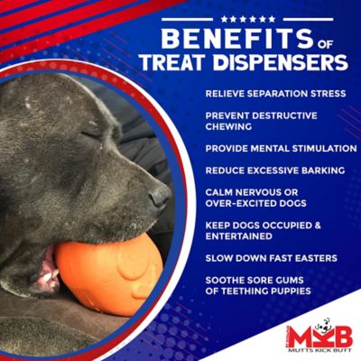 Image showing  Roasted Turkey Treat Dispenser Dog Chew Toy