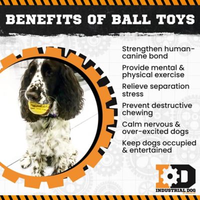 Image showing  ID Ball Rubber Dog Chew Toy