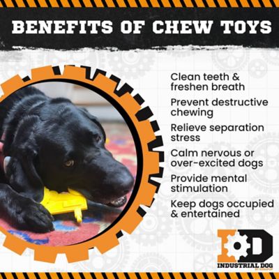 Image showing  Nylon Tractor Dog Chew Toy