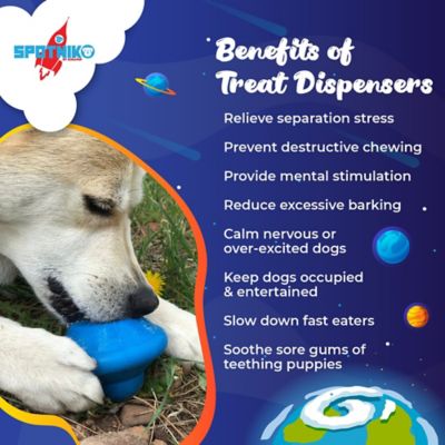 Image showing  Flying Saucer Treat Dispenser and Dog Chew Toy