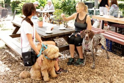 Image showing 4 th DOOG Walkie Shoulder Bag