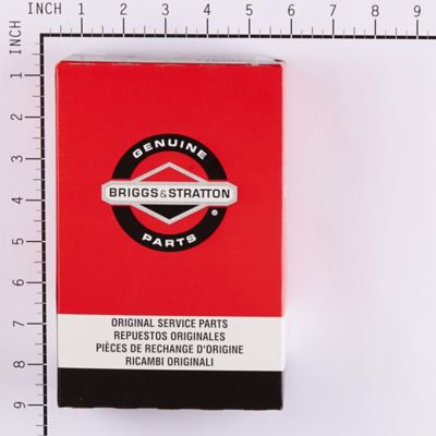 Image showing  Pulley-Starter for Select Briggs & Stratton Models, 295871