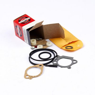 Briggs & Stratton Carburetor Repair Kit for 3.5 and 4 HP Max Series/Quantum/5 HP Horizontal Shaft Engines