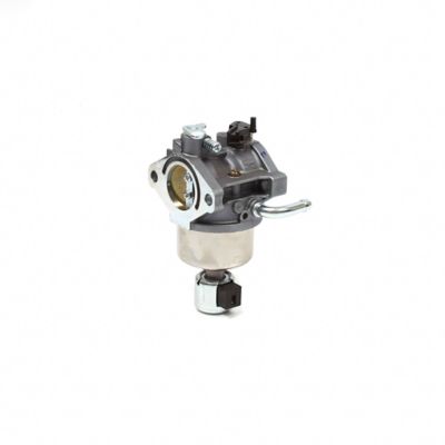 Briggs & Stratton Carburetor for Select Briggs & Stratton Models, 594605