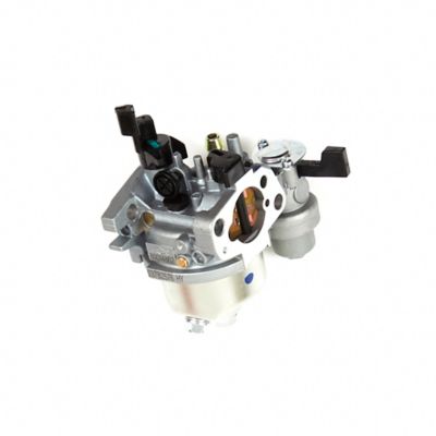 Briggs & Stratton Carburetor for Select Briggs & Stratton Models, 596079