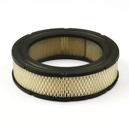 Briggs & Stratton Air Filter for Select Briggs & Stratton Models A/C Cartridge 692519 Mower Filters