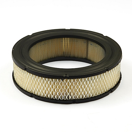 Briggs & Stratton Air Filter for Select Briggs & Stratton Models, A/C Cartridge, 692519