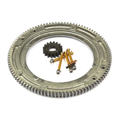 Briggs & Stratton Flywheel Ring Gear for Select Briggs & Stratton Models, 696537