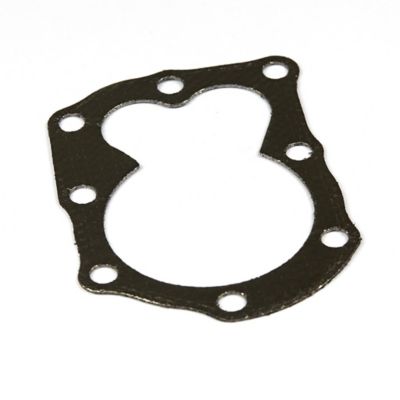 Briggs & Stratton Cylinder Head Gasket for Select Briggs & Stratton Models, 698717