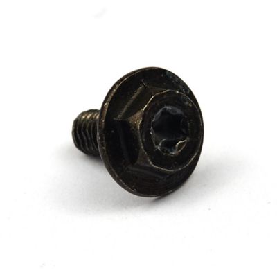 Briggs & Stratton Replacement Screw for Select Briggs & Stratton Models, 699854