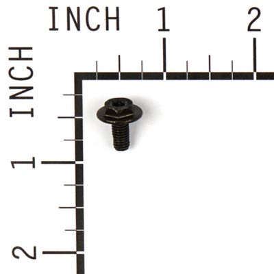 Image showing  Replacement Screw for Select Briggs & Stratton Models, 699854