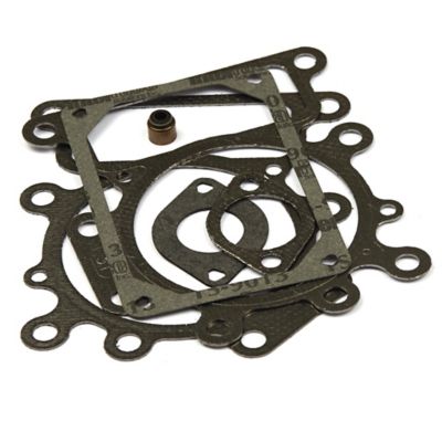 Briggs & Stratton Valve Gasket Set for Select Briggs & Stratton Models, 794152