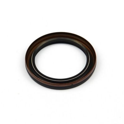 Briggs & Stratton Oil Seal for Select Briggs & Stratton Models, 795387