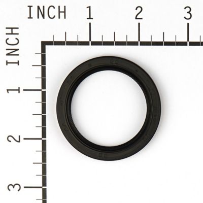 Image showing  Oil Seal for Select Briggs & Stratton Models, 795387