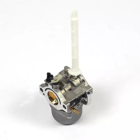 Briggs & Stratton Carburetor for Briggs & Stratton 200000 and 210000 Series Snow Engines 796122 Mower Engines & Parts