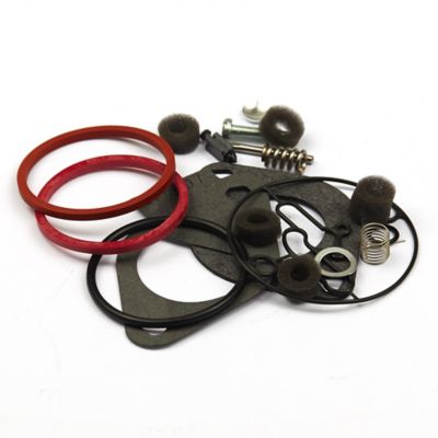 Briggs & Stratton Carburetor Overhaul Kit for Briggs & Stratton 21, 31, 33 cu. in. OHV Engines, 796184