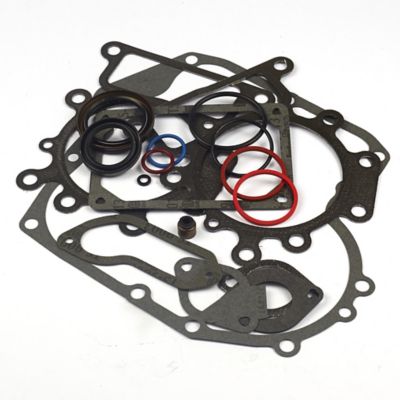 Briggs & Stratton Engine Gasket Set for Briggs & Stratton 310000 and 330000 Series Engines, 796187