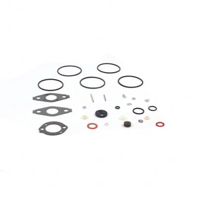 Briggs & Stratton Carburetor Overhaul Kit for Select Briggs & Stratton Models, 797634