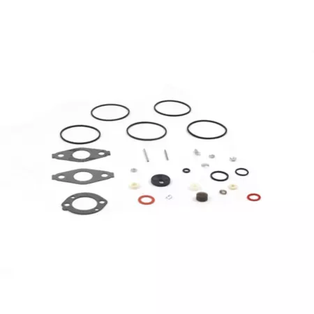 Briggs & Stratton Carburetor Overhaul Kit for Select Briggs & Stratton Models 797634 Mower Engines & Parts