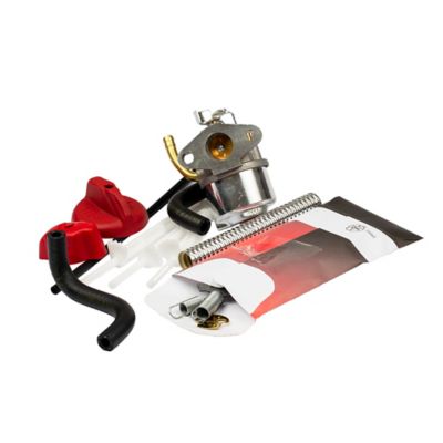 Briggs & Stratton Carburetor for Briggs & Stratton 12 cu. in. Horizontal Shaft Snow Thrower Engines, 798917