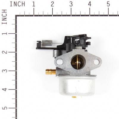 Image showing  Replacement Carburetor for Select Briggs & Stratton Models, 799447