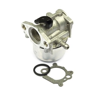 Briggs & Stratton Carburetor for Briggs & Stratton 12 cu. in. Vertical Shaft L-Head Engines, 799868
