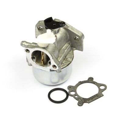 Briggs & Stratton Carburetor for Briggs & Stratton 120000 Series L-Head Engines, 799869