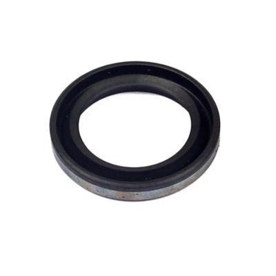 Briggs & Stratton Oil Seal for Select Briggs & Stratton Models, 299819S