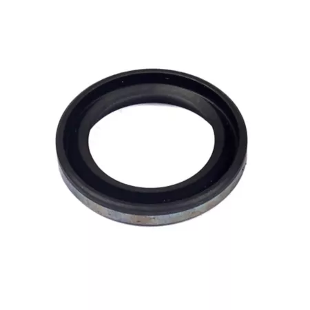 Briggs & Stratton Oil Seal for Select Briggs & Stratton Models 299819S Mower Engines & Parts