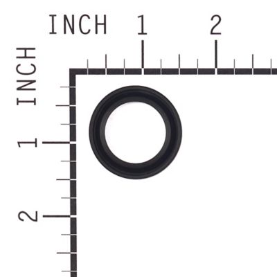 Image showing  Oil Seal for Select Briggs & Stratton Models, 299819S