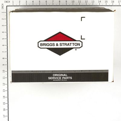 Image showing  Pressure Washer Pump for Select Briggs & Stratton Models, 317142GS