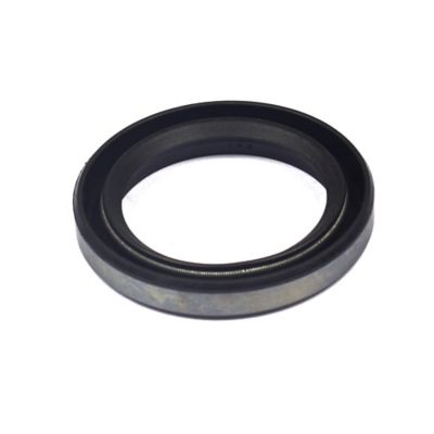 Briggs & Stratton Oil Seal for Select Briggs & Stratton Models, 391086S