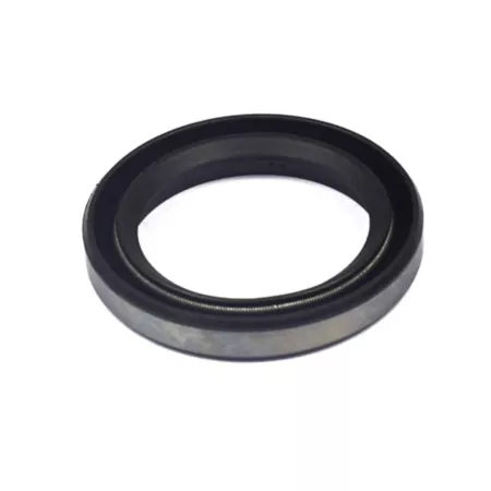 Briggs & Stratton Oil Seal for Select Briggs & Stratton Models 391086S Mower Engines & Parts