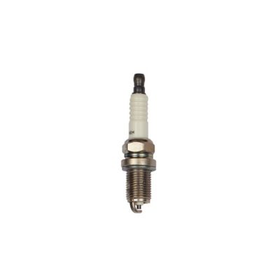 Briggs & Stratton Small Engine Spark Plug, 491055S