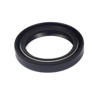 Briggs & Stratton Oil Seal for Select Briggs & Stratton Models, 805049S