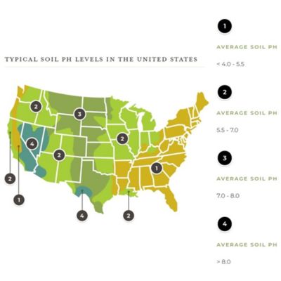Image showing  Fast Acting Sulfur with Nutri-Bond, 5,000 sq. ft., 11883-80