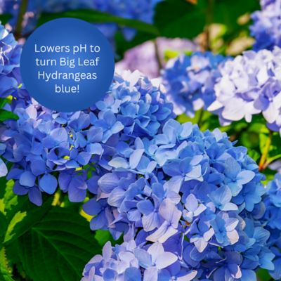 Image showing 5 th Earth Science Fast Acting Sulfur with Nutri-Bond, 5,000 sq. ft., 11883-80