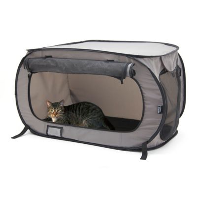 Kitty City Pop Open Polyester Pet Kennel, 31.8 in.