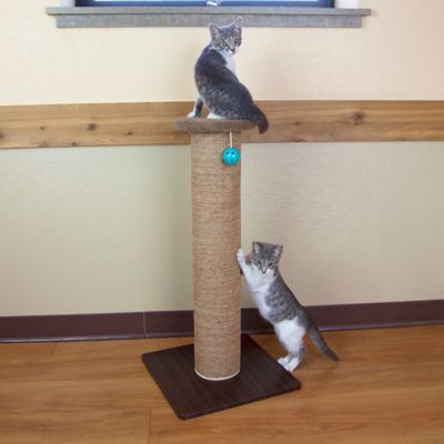 Image showing  Cat Scratch Perch