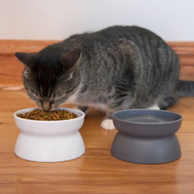 Image showing  Elevated Polypropylene Cat Bowls, 0.6 Cup, 2 ct.