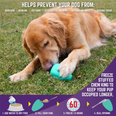 Image showing  Dog Toys, 2-Pack